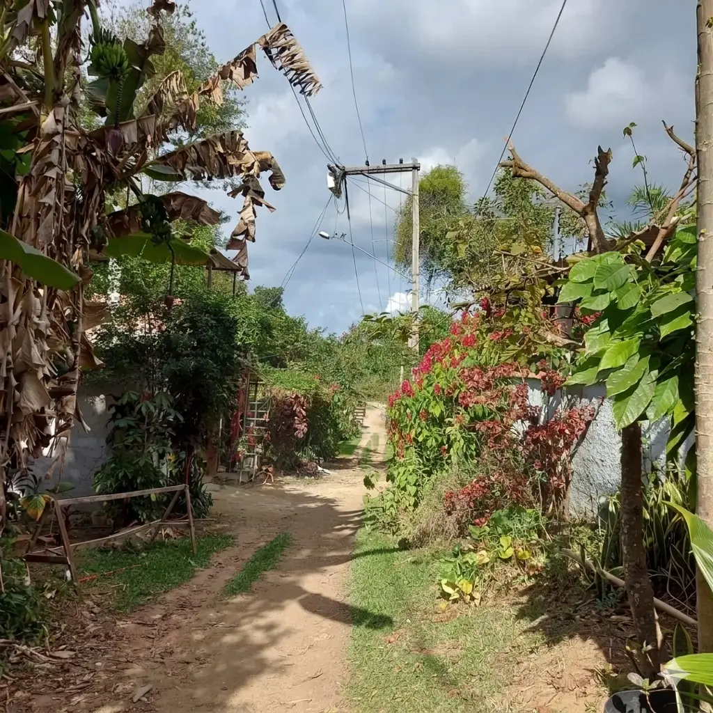 Quilombo do Feital